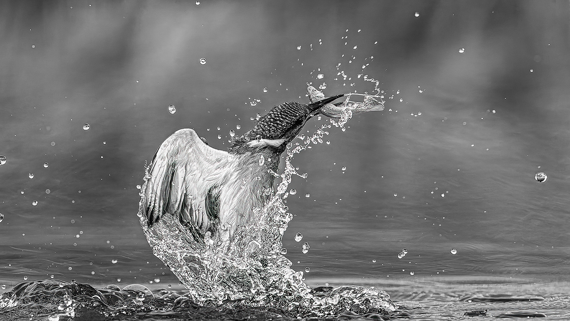 Zoltan Krahling (Hungary) My favourite is fish